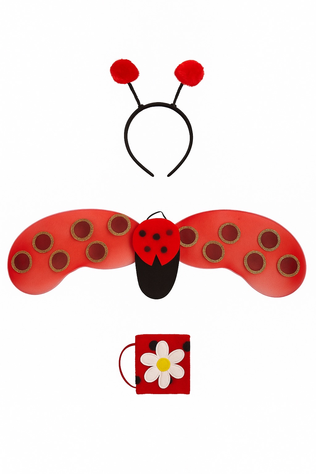 Ladybug Costume