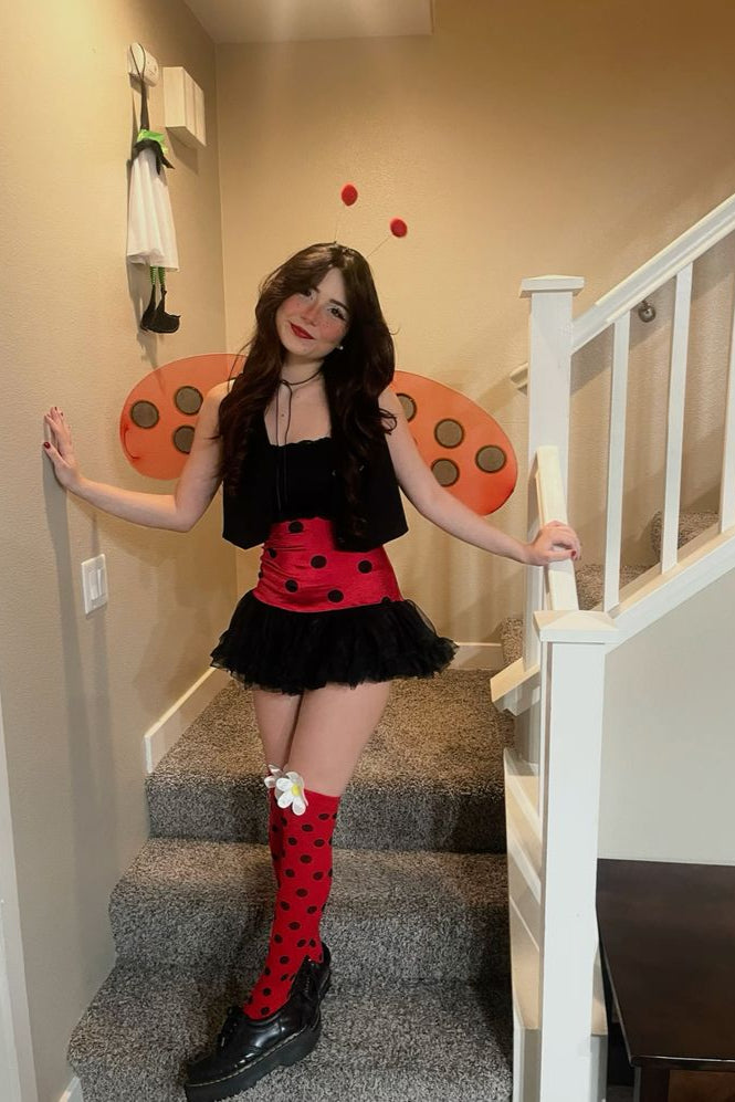 Ladybug Costume