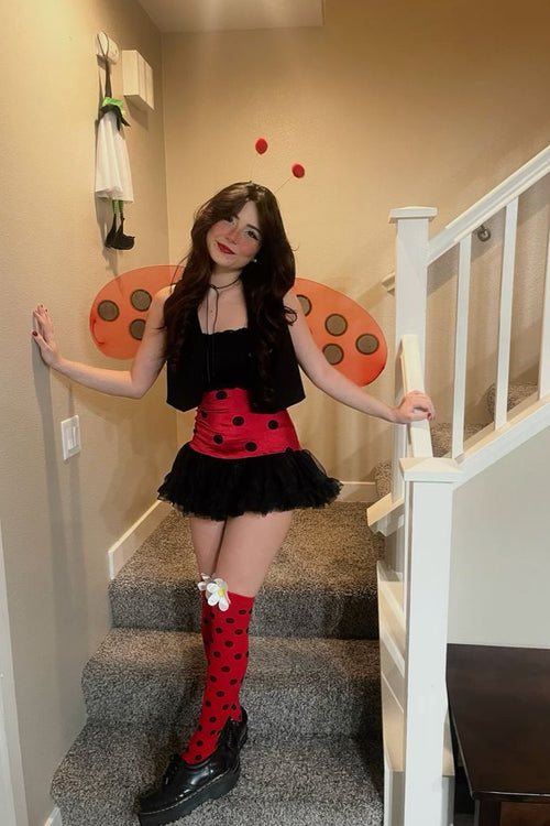 Ladybug Costume