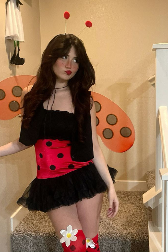 Ladybug Costume